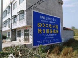 丰城墙体广告质量分析