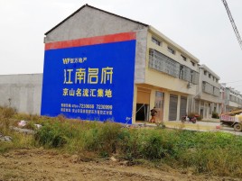 丰城农村墙体广告在不同形式上面展现的不同特色